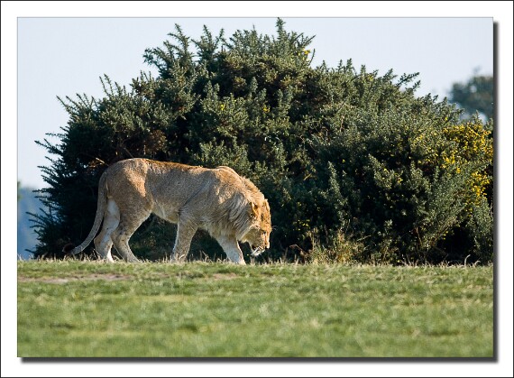 IMG_1888 5D